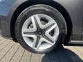 Ford Focus SW 1.5 ecoblue Business 120cv Grau - thumbnail 5