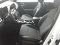 Kia Ceed SW / cee'd SW 1.5 T-GDI 140 PS DCT Spirit Leder Tec. Wit - thumbnail 16