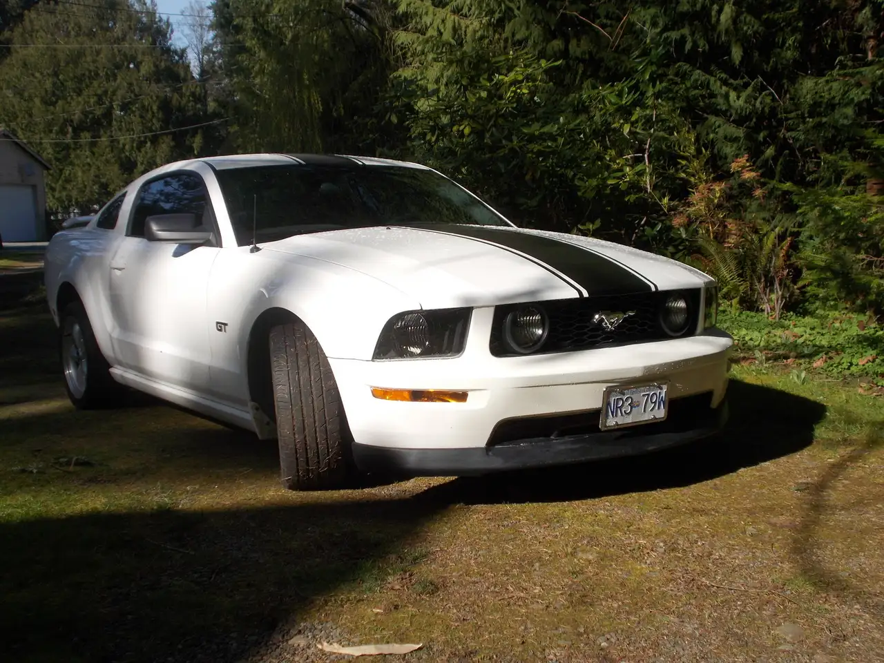 Ford Mustang снимка Ford Mustang