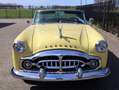 Oldtimer Packard 250 Gelb - thumbnail 16