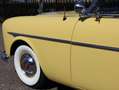 Oldtimer Packard 250 Gelb - thumbnail 26