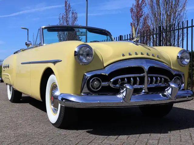 Oldtimer Packard view 15