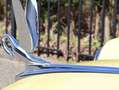 Oldtimer Packard 250 Gelb - thumbnail 25