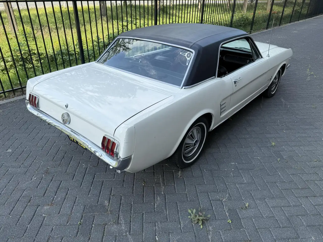Ford Mustang Coupe, foto 11