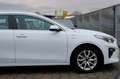 Kia Ceed SW / cee'd SW 1.6 CRDi Vision Komfort&Navi Paket Weiß - thumbnail 5