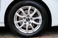 Kia Ceed SW / cee'd SW 1.6 CRDi Vision Komfort&Navi Paket Blanc - thumbnail 11