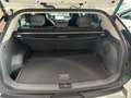 Kia Earth 58,3 Kw/h WIC, BUSINESS, UPGRADE, DRIVE, AHK Alb - thumbnail 14
