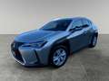 Lexus UX 250h business Grigio - thumbnail 1