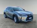 Lexus UX 250h business Grigio - thumbnail 3