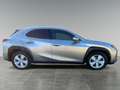 Lexus UX 250h business Grigio - thumbnail 11