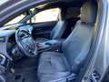Lexus UX 250h business Grigio - thumbnail 6
