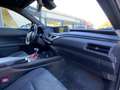 Lexus UX 250h business Grigio - thumbnail 9