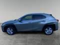Lexus UX 250h business Grigio - thumbnail 12