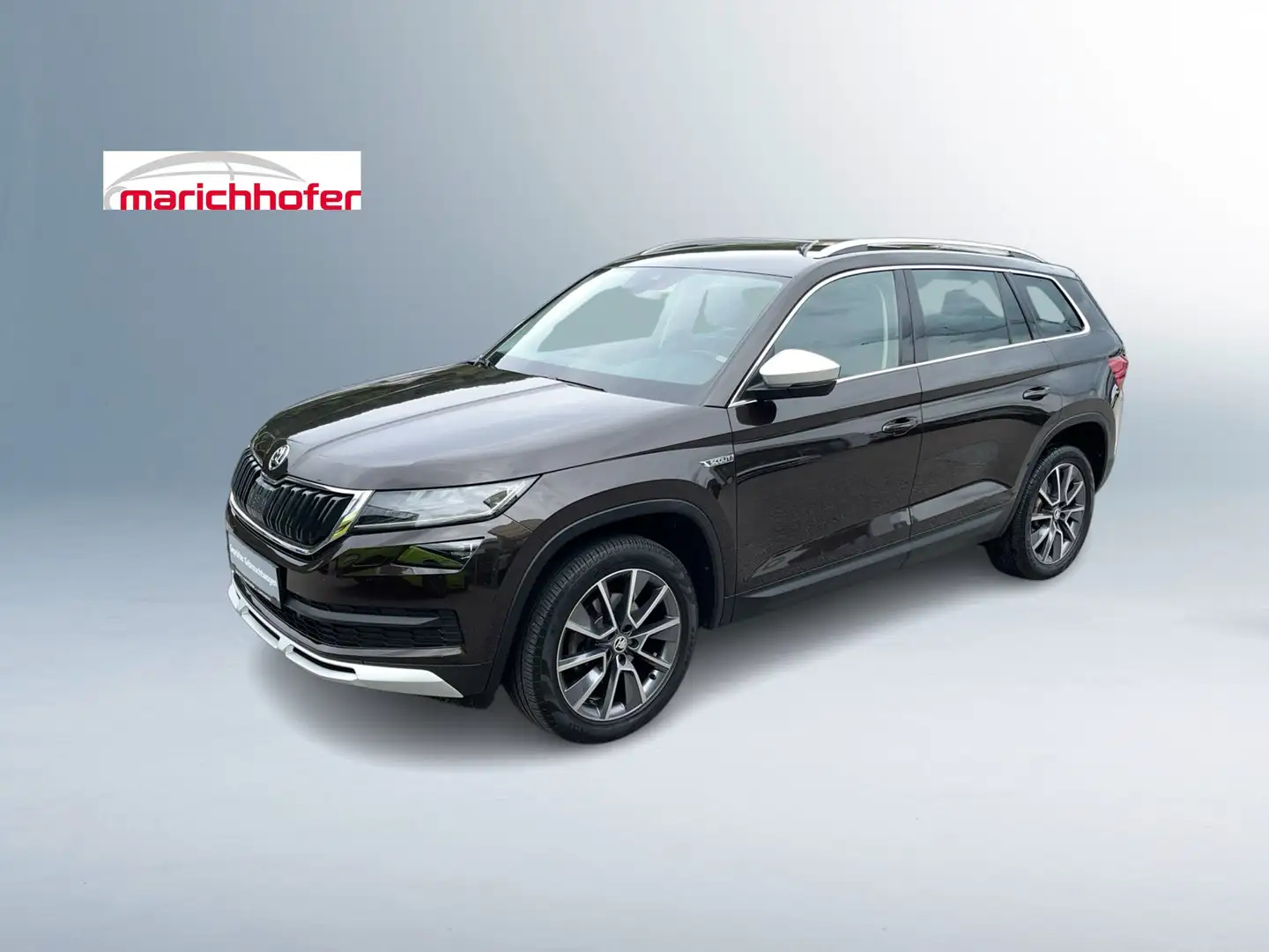 Skoda Kodiaq 4x4 SCOUT TDI DSG Braun - 1