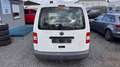 Volkswagen Caddy Life Bianco - thumbnail 5
