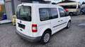 Volkswagen Caddy Life Bianco - thumbnail 6
