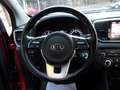 Kia Sportage 1.6 CRDI URBAN 2wd 115cv Rouge - thumbnail 13