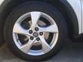 Toyota C-HR 125H Advance Blanco - thumbnail 7