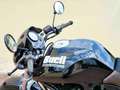 Buell M 2 Cyclone M2 Bleu - thumbnail 3