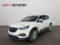 Opel Grandland X 1.5 diesel Ecotec Start&Stop Business Bianco - thumbnail 3