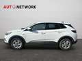 Opel Grandland X 1.5 diesel Ecotec Start&Stop Business Bianco - thumbnail 7
