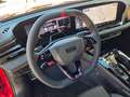 Audi RS5 2.9 TFSI quattro 639 PS Leder RS Sportsitze Plus mit Massage und Sitzlüftung Carbon Ambiente Matrix 5 Jahre Garantie Rot - thumbnail 12