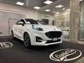 Ford Puma Puma II 2020 1.0 ecoboost h Titanium s Wit - thumbnail 5