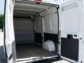 Citroen Jumper 35 BLUEHDI 140 S&S PM-TM FURGONE BUSINESS Weiß - thumbnail 13