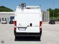 Citroen Jumper 35 BLUEHDI 140 S&S PM-TM FURGONE BUSINESS Weiß - thumbnail 5