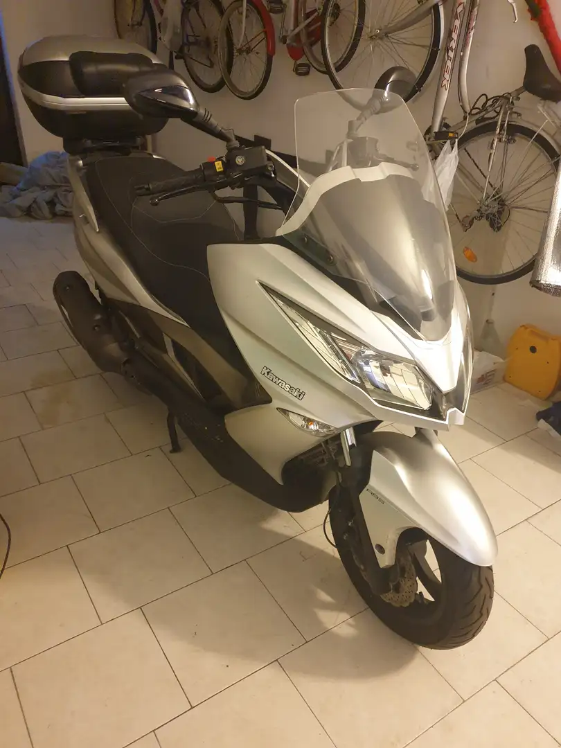 Kawasaki J300 Серебристый - 1