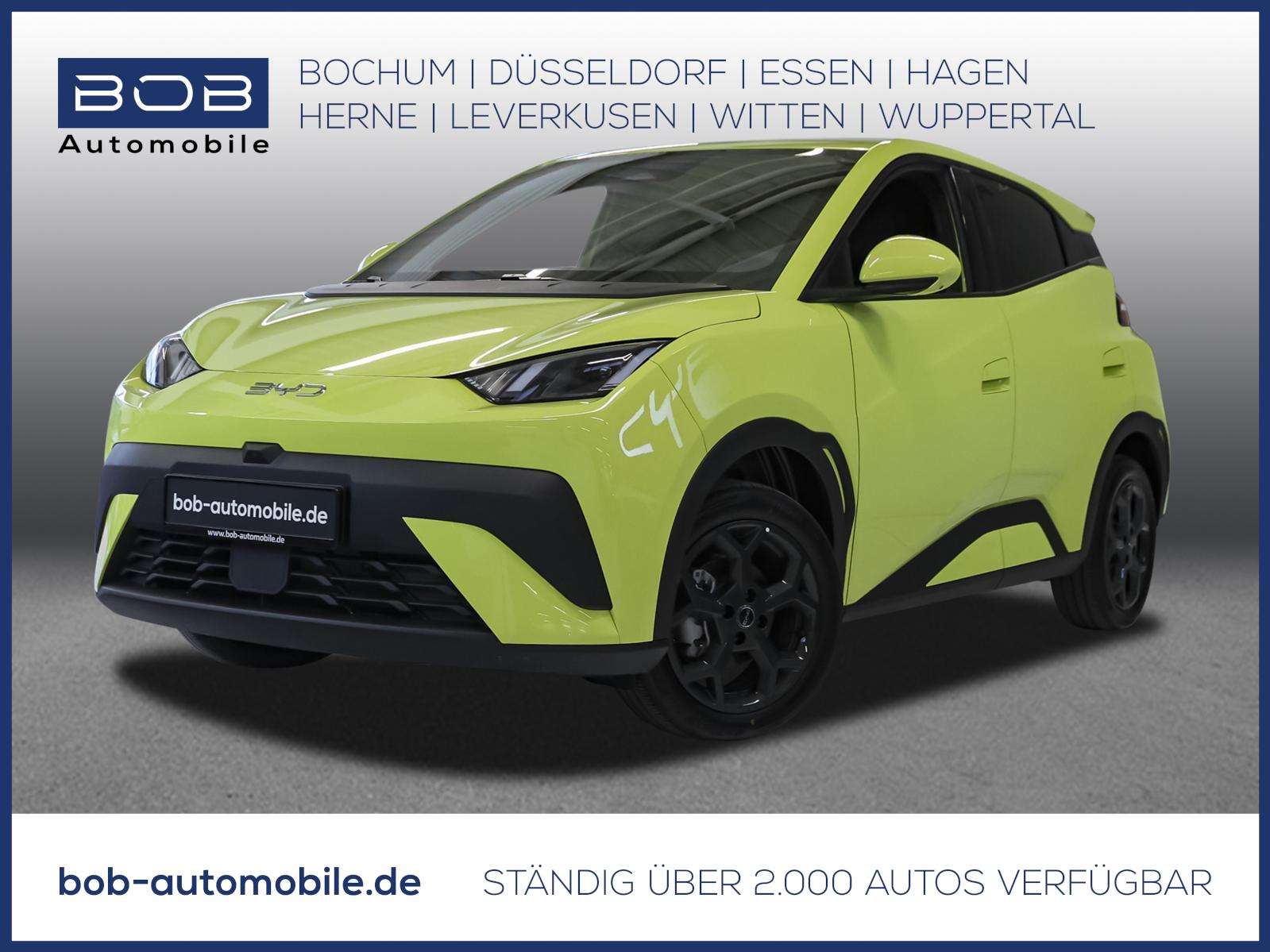 Brugt Byd Dolphin electro