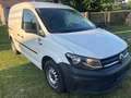 Volkswagen Caddy Caddy Kombi Trendline 1,2 TSI Trendline Weiß - thumbnail 2