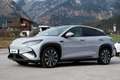 BYD Sealion 7 Excellence 91.5 kWh AWD Grau - thumbnail 3