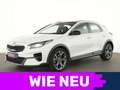 Kia XCeed Spirit LED|Exclusive-Paket|SHZ|Kamera|PDC Weiß - thumbnail 1