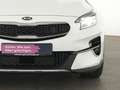 Kia XCeed Spirit LED|Exclusive-Paket|SHZ|Kamera|PDC Weiß - thumbnail 12