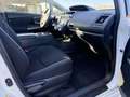 Toyota Prius Prius+ 1.8 Eco Blanco - thumbnail 8