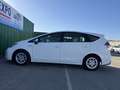 Toyota Prius Prius+ 1.8 Eco Blanco - thumbnail 28