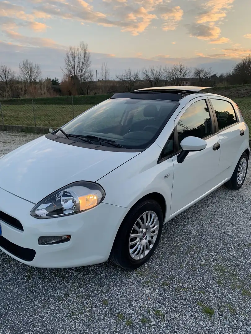 Fiat Punto Evo 5p 1.3 mjt Dynamic eco s&s 85cv - 1