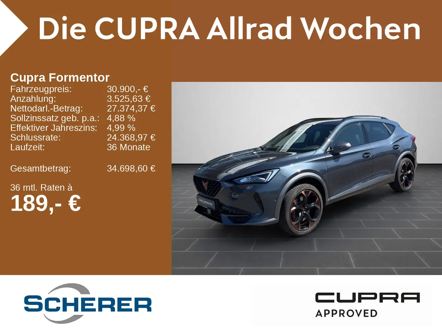 CUPRA Formentor VZ 2.0 TSI DSG NAVI 4DRIVE PANO SHZ RF Gris - 1