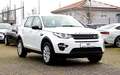 Land Rover Discovery Sport 4WD/RCAM/LEDER/SPURASSIST/SHZ/ Blanc - thumbnail 3