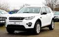 Land Rover Discovery Sport 4WD/RCAM/LEDER/SPURASSIST/SHZ/ Blanc - thumbnail 1