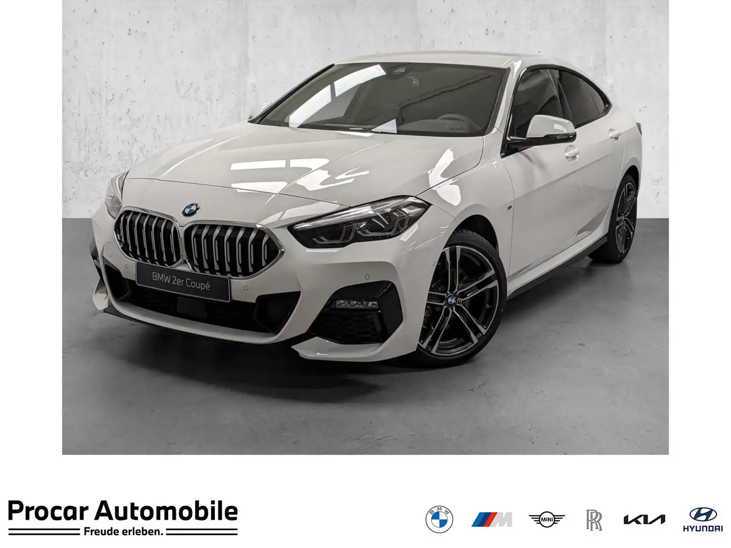 BMW 218 i MSport DA PA HiFi LED Klima DAB Bianco - 1