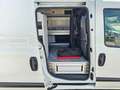 Fiat Doblo Doblò 1.6 MJT 105CV PC-TN Cargo Lounge ALLESTITO Bianco - thumbnail 5
