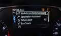 Ford Fiesta 1.0l MHEV ST-LINE X Navi+LED+B&O+PP vorn u.v.m. Blanco - thumbnail 13