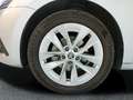 Skoda Octavia 2.0TDI Selection DSG 110kW Gris - thumbnail 18