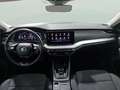 Skoda Octavia 2.0TDI Selection DSG 110kW Gris - thumbnail 9