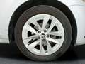Skoda Octavia 2.0TDI Selection DSG 110kW Gris - thumbnail 20