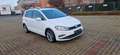 Volkswagen Golf Sportsvan Highline R-Line AHK 1,5TSI DSG Blanc - thumbnail 8