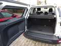 Ford EcoSport Cool & Connect Automatik *Winter-Paket*Navi* Plateado - thumbnail 7