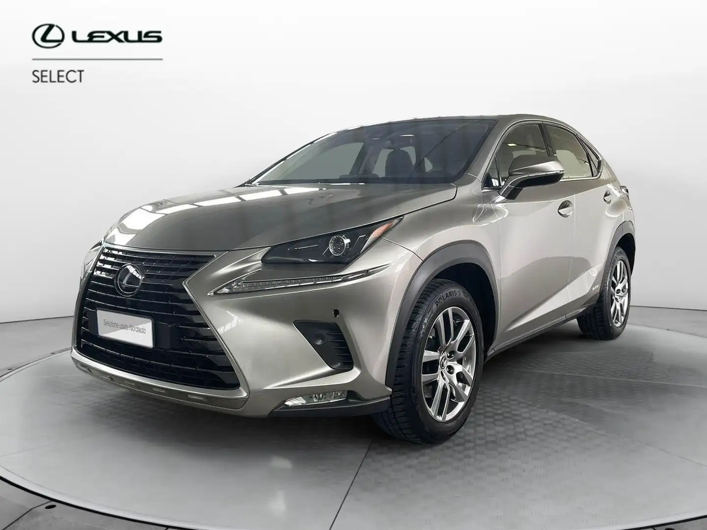Lexus NX 300 NX Hybrid 4WD Premium Grijs - 1